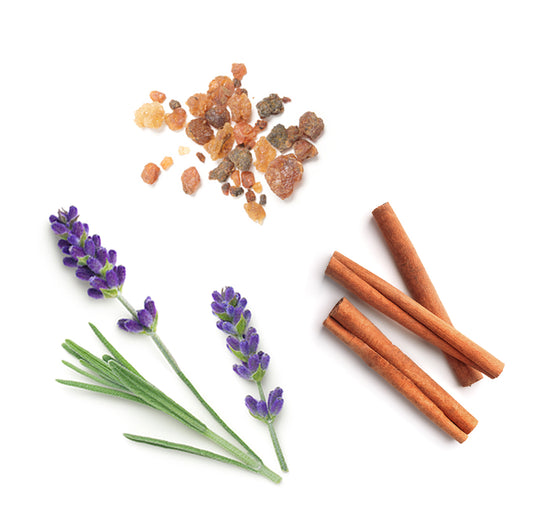 Doterra anchor illóolaj keverék mi van benne