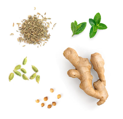 zengest whats inside 1085x1050 v2 eu