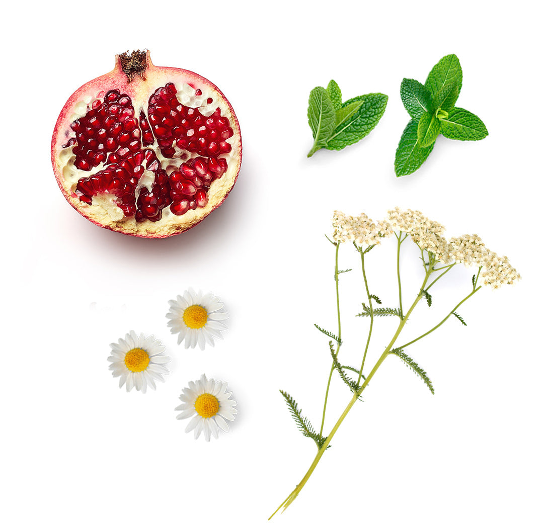 yarrowpomserum whats inside 1085x1050 eu