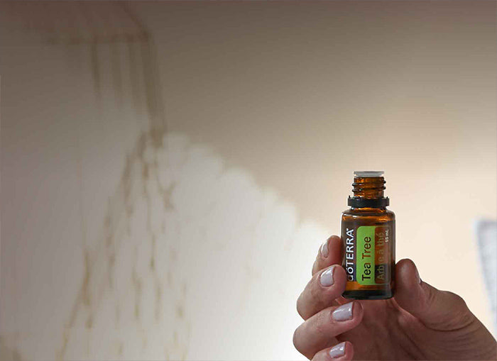 Doterra Teafa (Tea tree) illóolaj 15 ml