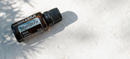 1600x733 siberian fiszibériai fenyő - siberian firr header