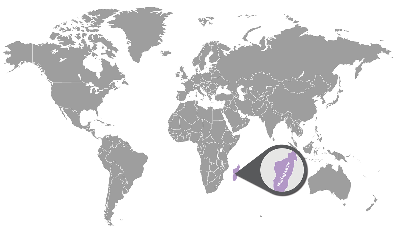 Doterra Szegfűszeg illóolaj - clove 15ml