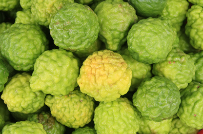bergamot sourcing 1050x693 eu