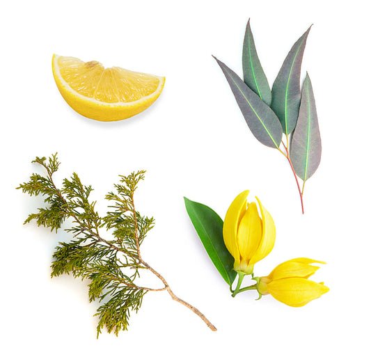 doterra terrashield mi van benne