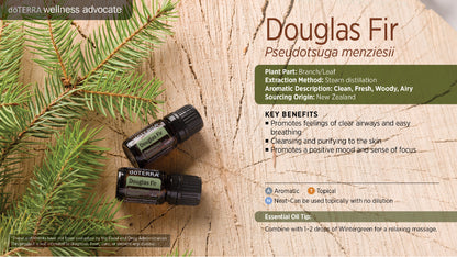 Doterra duglász fenyő douglas fir