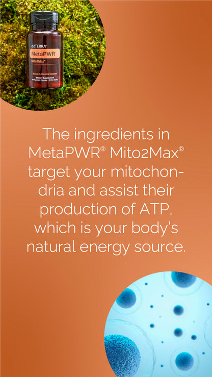 Doterra MetaPWR Mito2max zöldségkapszula